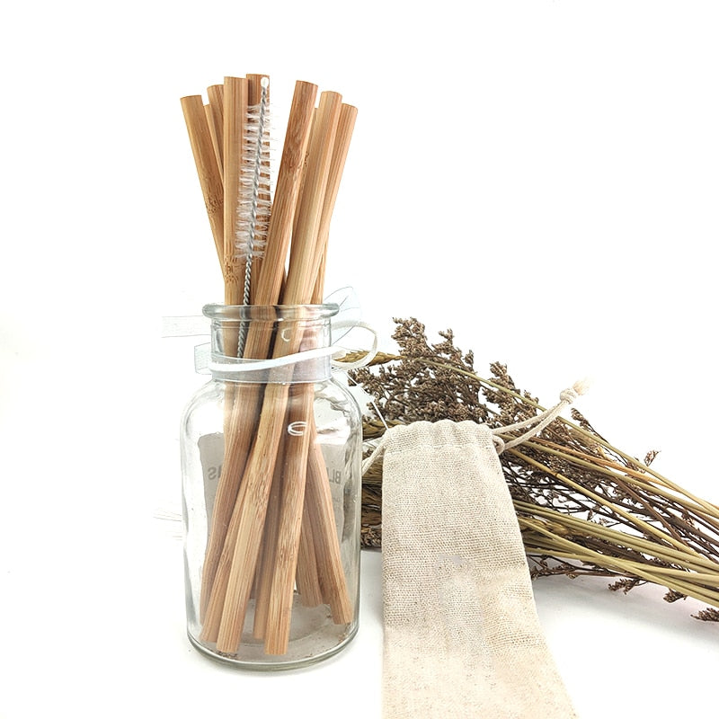 Natural Organic Bamboo Straw Set